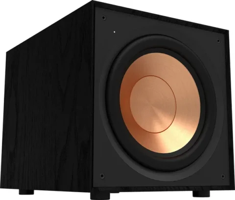 Caisson de basse Klipsch R-101SW Black (Unité)