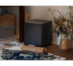 Denon Home Sub