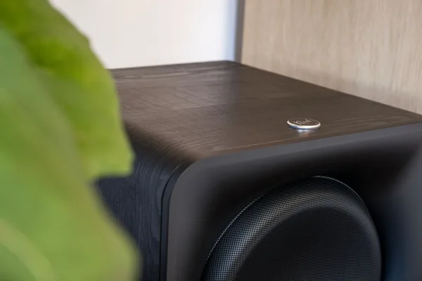 flexus-sub-100-662a1790432a19.27501061 subwoofers sans fil Flexus Sub 100 Black – Image 2